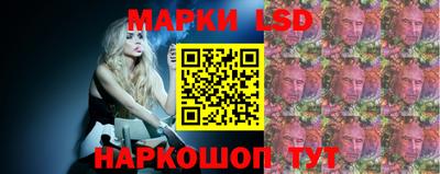 гидропоника Будённовск