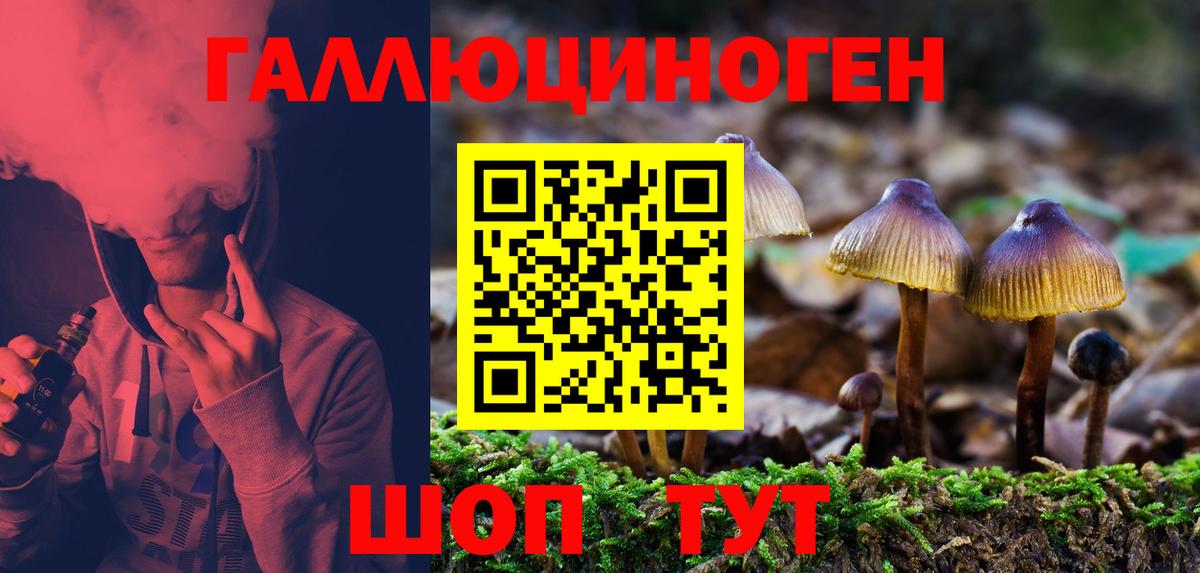 Галлюциногенные грибы MAGIC MUSHROOMS  Вход с VPN  Шали  Псилоцибиновые грибы Magic Shrooms 