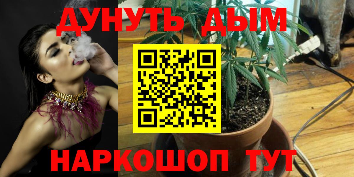 Каннабис SATIVA & INDICA  Вход с VPN  Шали  Канабис марихуана  Бошки Шишки сатива 